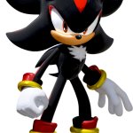 Shadow The Hedgehog