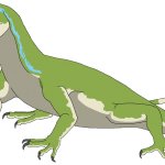 Petrolacosaurus (Male)