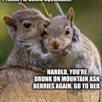 Secret | I THINK I'M GOING SQUIRRELY... HAROLD, YOU'RE DRUNK ON MOUNTAIN ASH BERRIES AGAIN. GO TO BED. | image tagged in secret | made w/ Imgflip meme maker