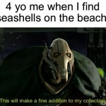 This will make a fine addition to my collection | 4 yo me when I find seashells on the beach: | image tagged in this will make a fine addition to my collection,seashells | made w/ Imgflip meme maker