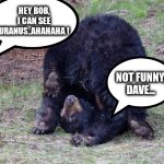 I can see you | HEY BOB, I CAN SEE URANUS..AHAHAHA ! NOT FUNNY, DAVE... | image tagged in upside down bear | made w/ Imgflip meme maker