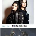 Gigan and Megalon supremacy | image tagged in name a more iconic duo,godzilla,giant monster,monster,monsters,why are you reading this | made w/ Imgflip meme maker