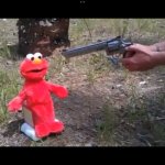 Elmo gets it