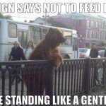 He a man, not a bear | THE SIGN SAYS NOT TO FEED BEARS; BUT HE STANDING LIKE A GENTLEMAN | image tagged in memes,city bear,funny,gentleman | made w/ Imgflip meme maker
