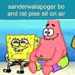 Sanderwalapoger bo and rat pise sit on air