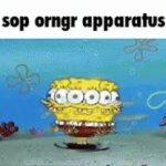 Sop orngr apparatus meme