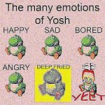 Many emotions of yoshi