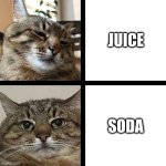 Juice vs Soda | JUICE; SODA | image tagged in stepan cat,juice,soda,cat | made w/ Imgflip meme maker