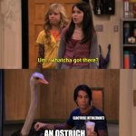 Why? Because | (LACTOSE INTOLERANT); AN OSTRICH | image tagged in whatcha got there | made w/ Imgflip meme maker