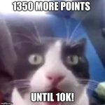 :O | 1350 MORE POINTS; UNTIL 10K! | image tagged in cat shocked | made w/ Imgflip meme maker