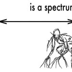 Is a spectrum