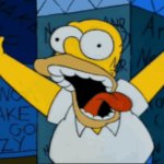 Homer Simpson Crazy