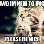 im exicted to share the funny | HEWWO IM NEW TO IMGFLIP; PLEASE BE NICE | image tagged in cute kitten,e | made w/ Imgflip meme maker