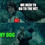 THE VET???? | WE NEED TO GO TO THE VET; ME; MY DOG | image tagged in i need to destroy the ring | made w/ Imgflip meme maker