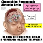 circumcision permanently reprogr (...)