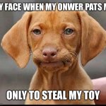 Skeptical Dog | MY FACE WHEN MY ONWER PATS ME; ONLY TO STEAL MY TOY | image tagged in skeptical dog | made w/ Imgflip meme maker