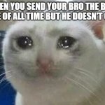 crying cat | WHEN YOU SEND YOUR BRO THE BEST MEME OF ALL TIME BUT HE DOESN'T GET IT | image tagged in crying cat,memes,funny,funny memes | made w/ Imgflip meme maker