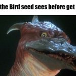 Rodan Meme | What the Bird seed sees before get eaten | image tagged in rodan | made w/ Imgflip meme maker