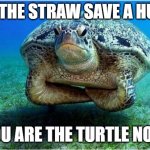 Too late folks | SKIP THE STRAW SAVE A HUMAN; YOU ARE THE TURTLE NOW | image tagged in disappointed turtle | made w/ Imgflip meme maker