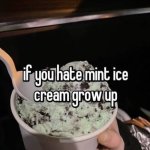 If you hate mint ice cream grow up