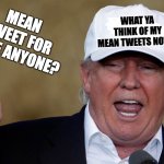 wish we had a mean tweet | MEAN TWEET FOR PEACE ANYONE? WHAT YA THINK OF MY MEAN TWEETS NOW? | image tagged in donald trump blank maga hat | made w/ Imgflip meme maker