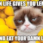 Grumpy Cat lemons | WHEN LIFE GIVES YOU LEMONS; STFU AND EAT YOUR DAMN LEMONS | image tagged in grumpy cat lemons | made w/ Imgflip meme maker