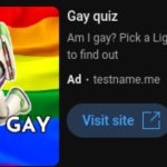 Gay quiz