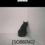 Smad