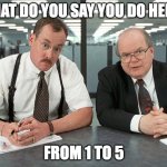 When HR sends the employee self assessment ... | WHAT DO YOU SAY YOU DO HERE? FROM 1 TO 5 | image tagged in office space bobs | made w/ Imgflip meme maker
