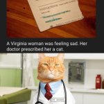 Virginia cat