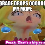 FR THOUGH | MY GRADE DROPS 000000.1%
MY MOM: | image tagged in that s a big no no | made w/ Imgflip meme maker