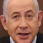 Bibi meme