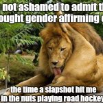 gender affirming care... | I'm not ashamed to admit that I've sought gender affirming care... the time a slapshot hit me in the nuts playing road hockey. | image tagged in lion licking balls | made w/ Imgflip meme maker