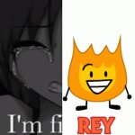 I'm firey meme