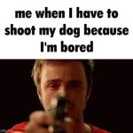 Shoot my dog