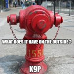 fire hydrant number 1550 | IF A FIRE HYDRANT HAS H2O INSIDE; MEMEs by Dan Campbell; WHAT DOES IT HAVE ON THE OUTSIDE ? K9P | image tagged in fire hydrant number 1550 | made w/ Imgflip meme maker