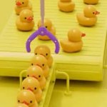 Ducks In A Row GIF Template