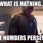 Vision is speaking facts | WHAT IS MATHING... ...IF NOT NUMBERS PERSEVERING | image tagged in vision age of ultron,memes,mcu,marvel cinematic universe,movies,math | made w/ Imgflip meme maker