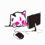 cute kitten using computer