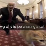 Joe chasing a cat