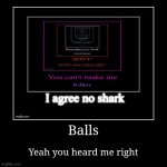 I agree no shark