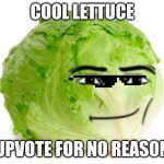Lettuce  | COOL LETTUCE; UPVOTE FOR NO REASON | image tagged in lettuce | made w/ Imgflip meme maker