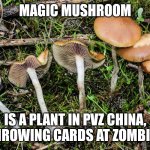 I tried to download an image, but it just couldn't work... | MAGIC MUSHROOM; IS A PLANT IN PVZ CHINA, THROWING CARDS AT ZOMBIES | image tagged in magic mushrooms,pvz,pvz china,memes,pvz chinese | made w/ Imgflip meme maker
