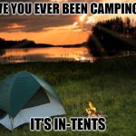 Camping...It's In Tents | HAVE YOU EVER BEEN CAMPING...? IT'S IN-TENTS | image tagged in camping it's in tents | made w/ Imgflip meme maker