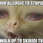 *cough* | POV. YOUR ALLERGIC TO STUPID STUFF; YOU WALK UP TO SKIBIDI TOILET | image tagged in coughing cat | made w/ Imgflip meme maker