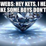 Cobweb’s Conversation About Kettle’s Love | COBWEBS: HEY KETS, I HEARD YOU LIKE SOME BOYS DON’T YOU? | image tagged in diamond | made w/ Imgflip meme maker