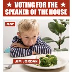 Voting for the Speaker of the House GOP Jim Jordan Broccoli Meme