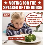 Voting for the Speaker of the House GOP Jim Jordan Broccoli Meme meme