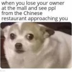 Chinese people