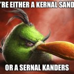 kfc moment | YOU’RE EITHER A KERNAL SANDERS; OR A SERNAL KANDERS | image tagged in realistic angry bird | made w/ Imgflip meme maker